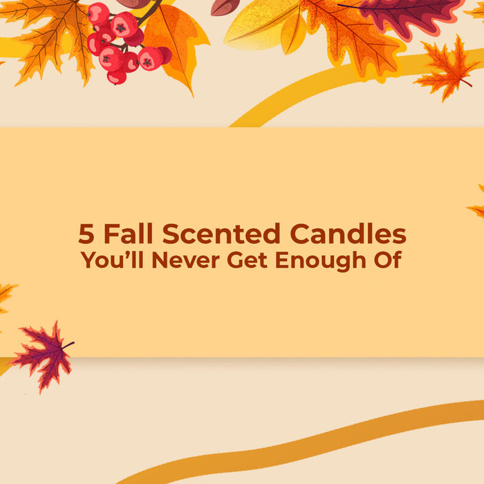 Top 5 Fall Scented Candles You’ll Never Get Enough Of